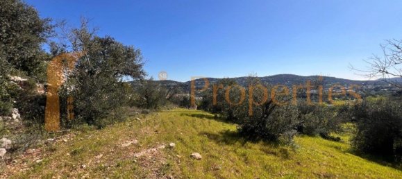 3108m² Land in Sao Bras de Alportel, Portugal No. 96550 22