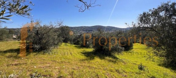 3108m² Land in Sao Bras de Alportel, Portugal No. 96550 24