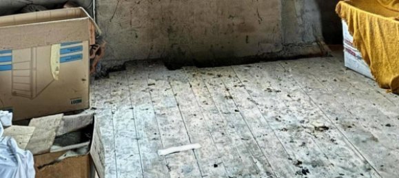 1 bedroom House in Saxony, Germany No. 180216 25