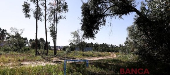 Terreno en Rio Meao, Portugal 4513 m² No. 97258 6