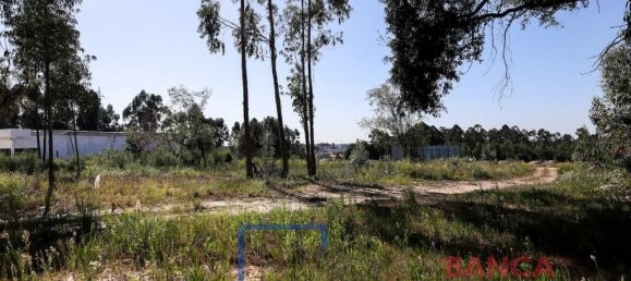 Terreno en Rio Meao, Portugal 4513 m² No. 97258 5