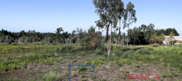 Terreno en Rio Meao, Portugal 4513 m² No. 97258 4