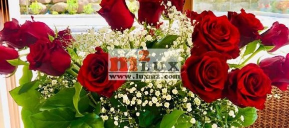 4 bedrooms Villa in Caldes de Malavella, Spain No. 13391 3