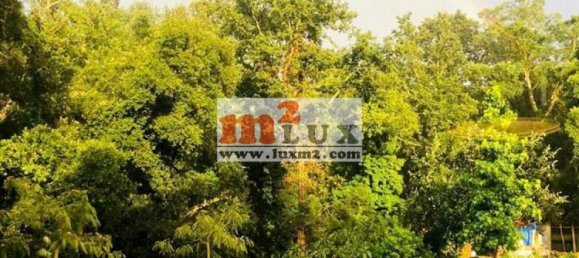 4 bedrooms Villa in Caldes de Malavella, Spain No. 13391 4