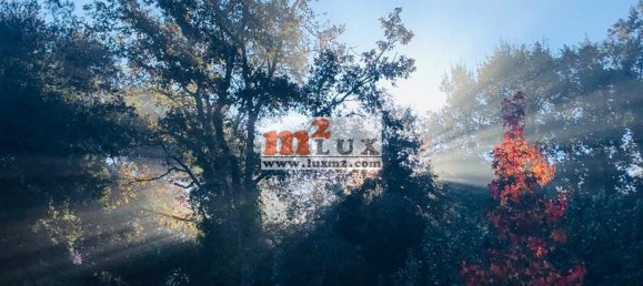 4 bedrooms Villa in Caldes de Malavella, Spain No. 13391 10