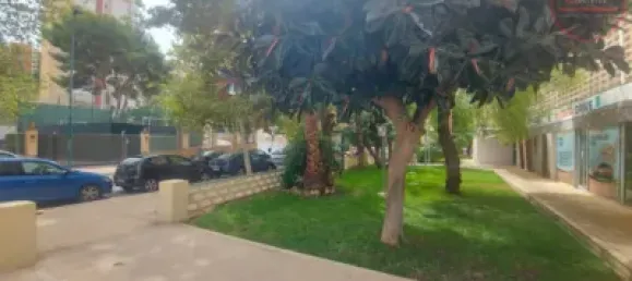 2 Schlafzimmer Wohnung in Benidorm, Spain, Nr. 30251 32