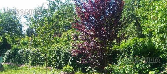 5 rooms House in Citerna, Italy No. 106610 5