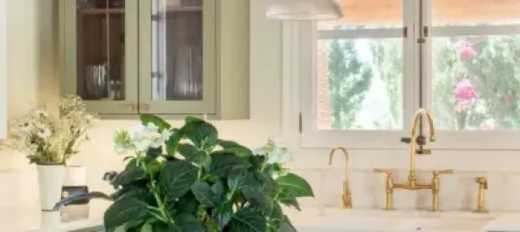 8 bedrooms House in Colmenarejo, Spain No. 185563 32