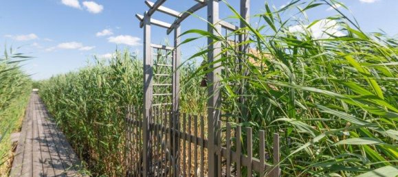 2-salle Maison à Rust, Austria No. 156768 2