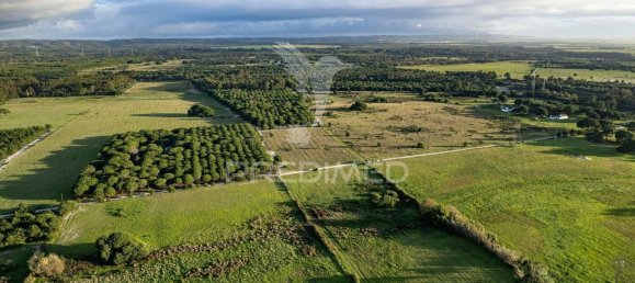 42000m² Land in Sines, Portugal No. 96863 5