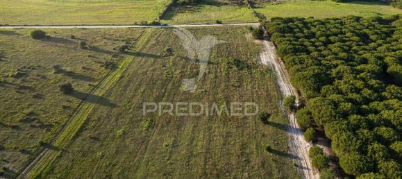 42000m² Land in Sines, Portugal No. 96863 6