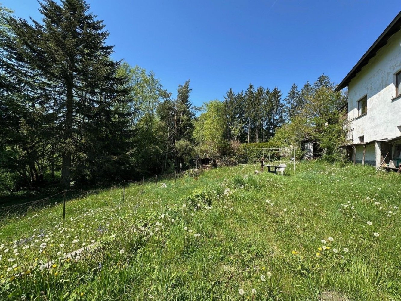 Terreno em Walding, Austria N.º 136746