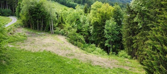 Terreno em Traunkirchen, Austria N.º 235284 5