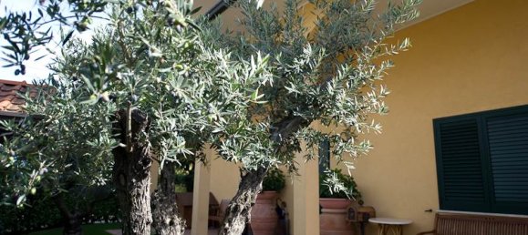 10 rooms Commercial property in Cardano al Campo, Italy No. 3969 5