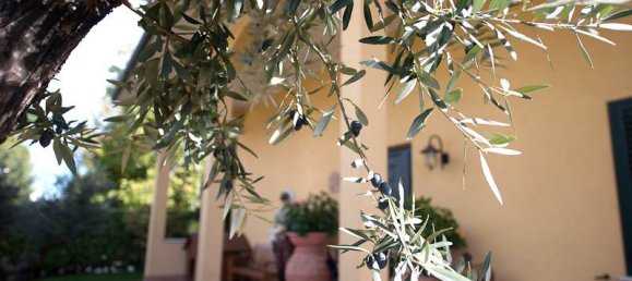 10 rooms Commercial property in Cardano al Campo, Italy No. 3969 4