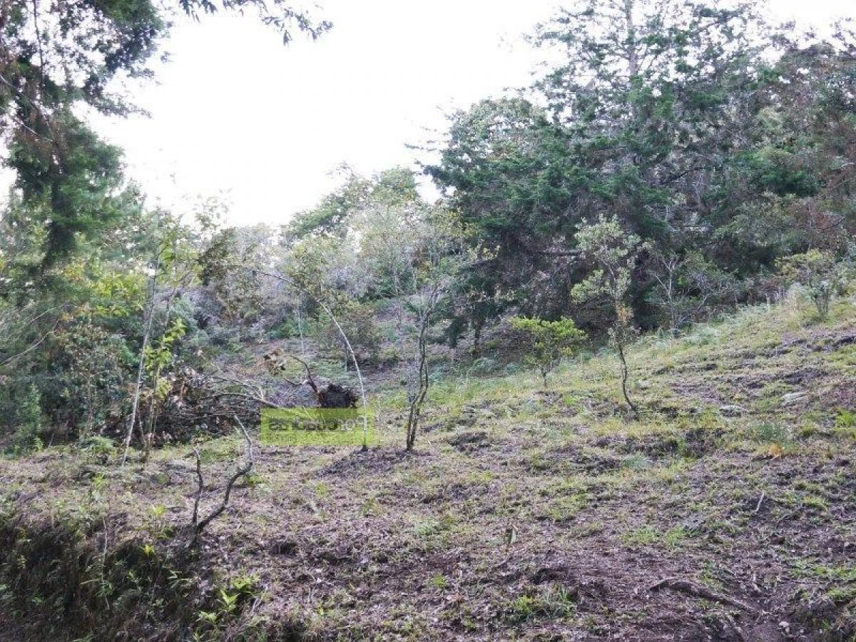  Land in Antioquia, Colombia No. 819