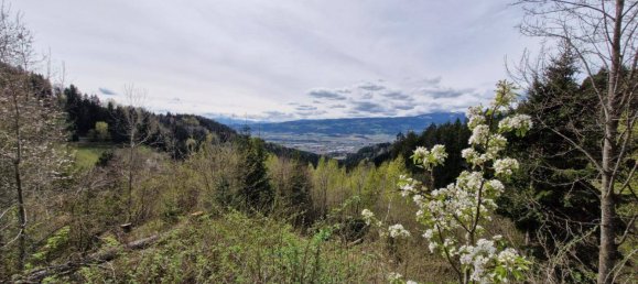 Casa de 6 dormitorios en Wolfsberg, Austria No. 215362 11