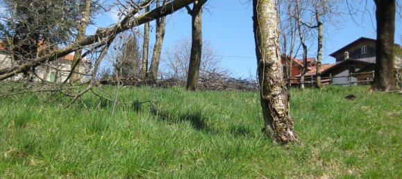 5 rooms Villa in Roana, Italy No. 31815 23