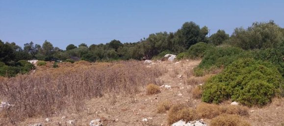  Land in Zakynthos, Greece No. 503 10
