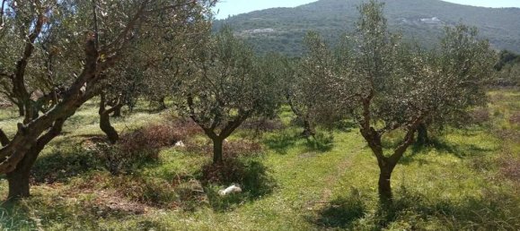  Land in Zakynthos, Greece No. 503 2