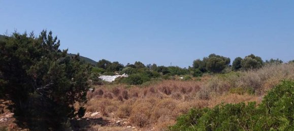  Land in Zakynthos, Greece No. 503 7