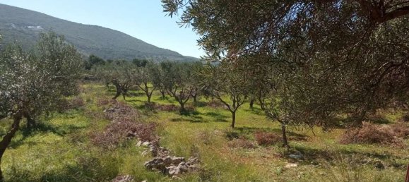  Land in Zakynthos, Greece No. 503 11