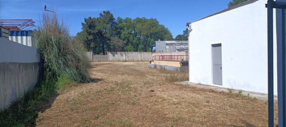 7 bedrooms House in Setubal, Portugal No. 67865 27