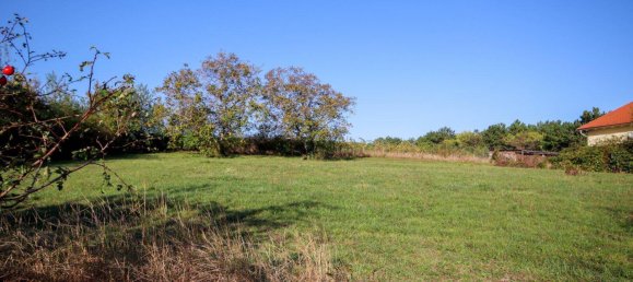 Gewerbliche Immobilie in Baden, Austria 550m², Nr. 17091 8