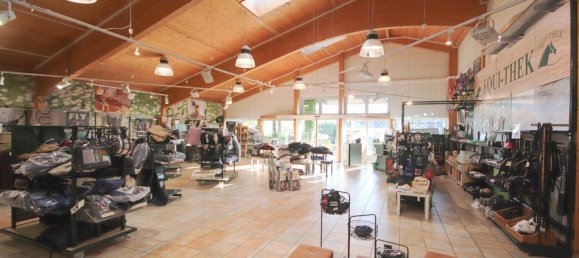 Gewerbliche Immobilie in Baden, Austria 550m², Nr. 17091 5