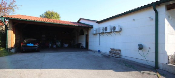 Gewerbliche Immobilie in Baden, Austria 550m², Nr. 17091 7