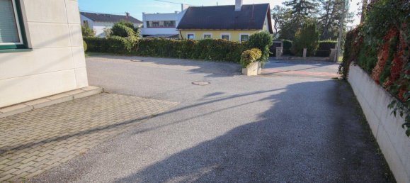 Gewerbliche Immobilie in Baden, Austria 550m², Nr. 17091 9