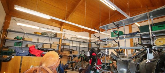 Gewerbliche Immobilie in Baden, Austria 550m², Nr. 17091 6
