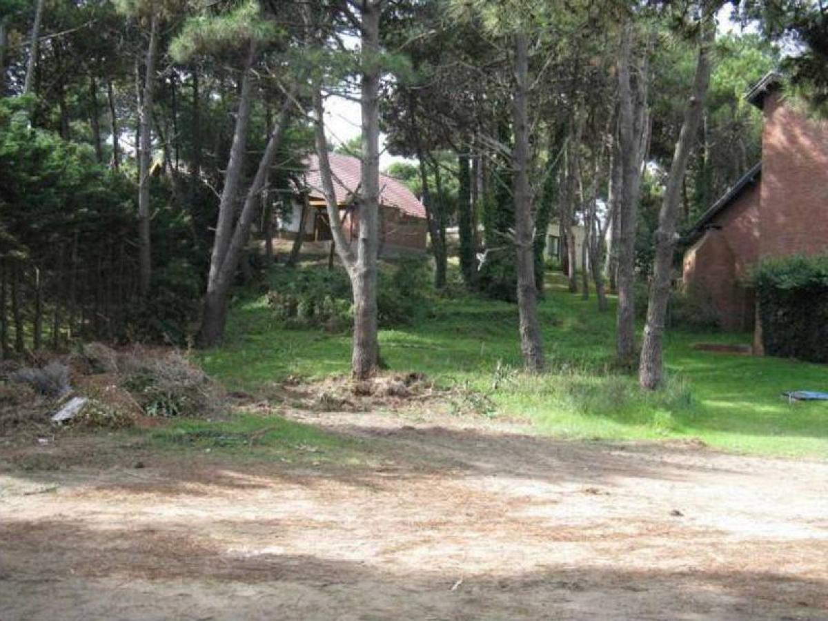 Grundstück in Mar del Plata, Argentina, Nr. 115757