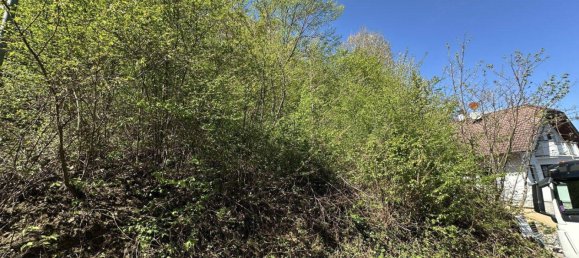  Land in Wiesen, Austria No. 166914 2