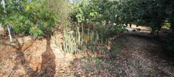 3 bedrooms Villa in Silves, Portugal No. 61528 36