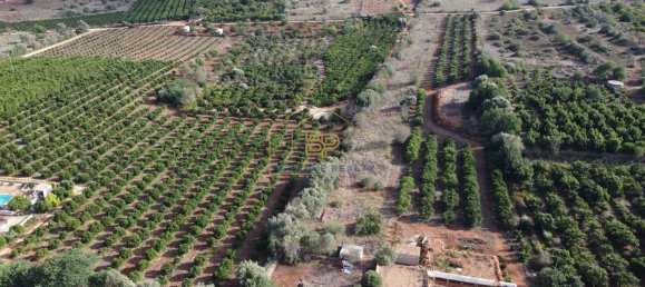 3 bedrooms Villa in Silves, Portugal No. 61528 40