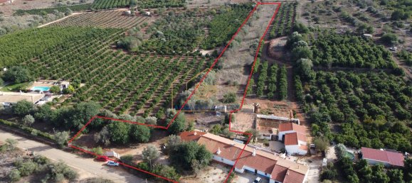 3 bedrooms Villa in Silves, Portugal No. 61528 41