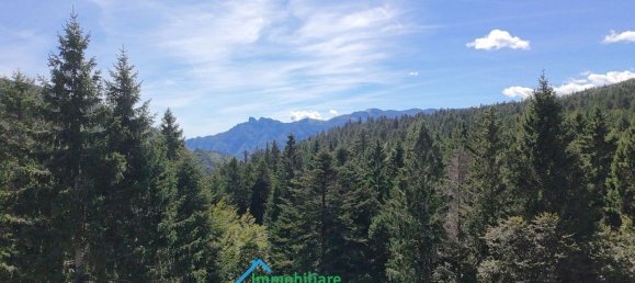 5 bedrooms Apartment in Lavarone, Italy No. 331635 33