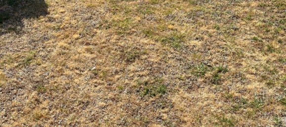 6 chambres Maison à Massa, Italy No. 336520 21