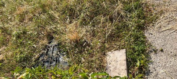 6 chambres Maison à Massa, Italy No. 336520 20