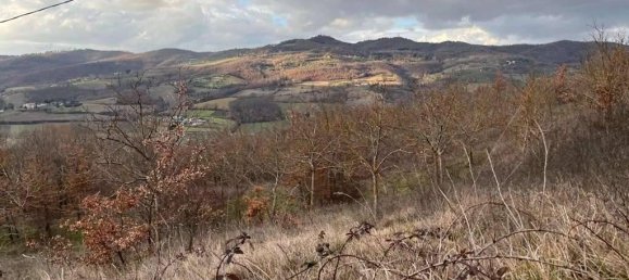 Земельный участок 785418м² в Умбертиде, Италия № 166360 42