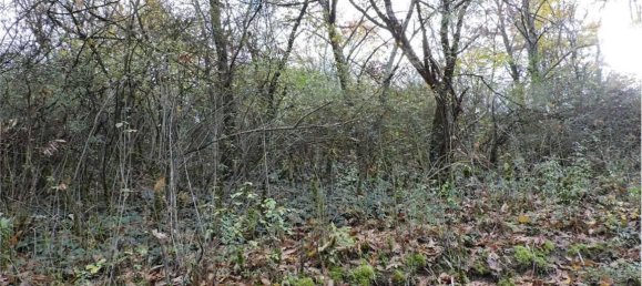 Земельный участок 785418м² в Умбертиде, Италия № 166360 24