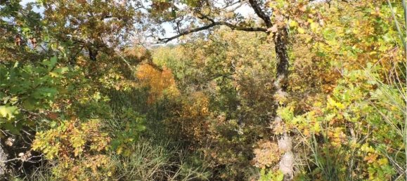 Земельный участок 785418м² в Умбертиде, Италия № 166360 47