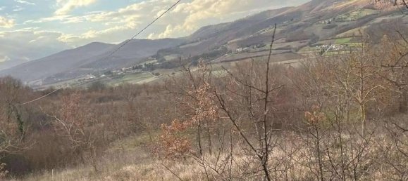 Земельный участок 785418м² в Умбертиде, Италия № 166360 49