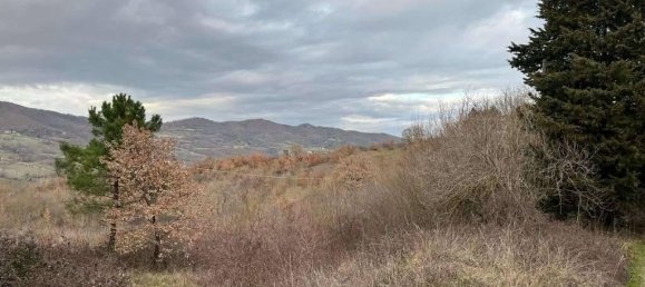 Земельный участок 785418м² в Умбертиде, Италия № 166360 26