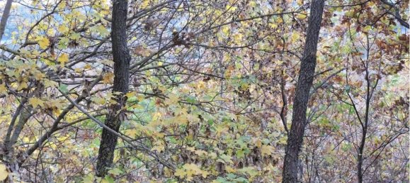 Земельный участок 785418м² в Умбертиде, Италия № 166360 43