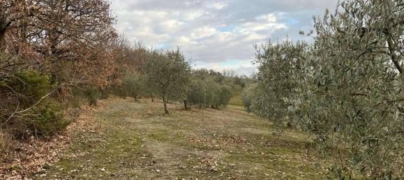 Земельный участок 785418м² в Умбертиде, Италия № 166360 25