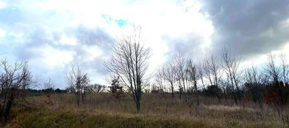 Земельный участок 785418м² в Умбертиде, Италия № 166360 11