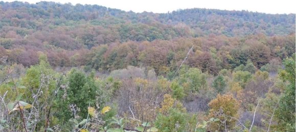 Земельный участок 785418м² в Умбертиде, Италия № 166360 33