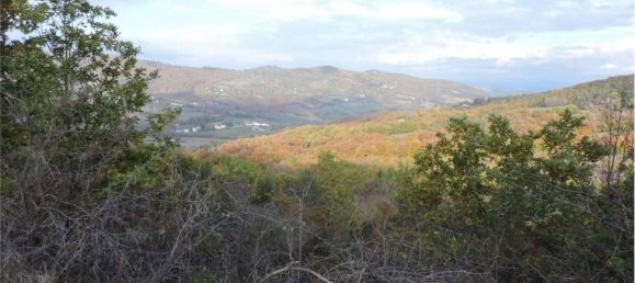 Земельный участок 785418м² в Умбертиде, Италия № 166360 37